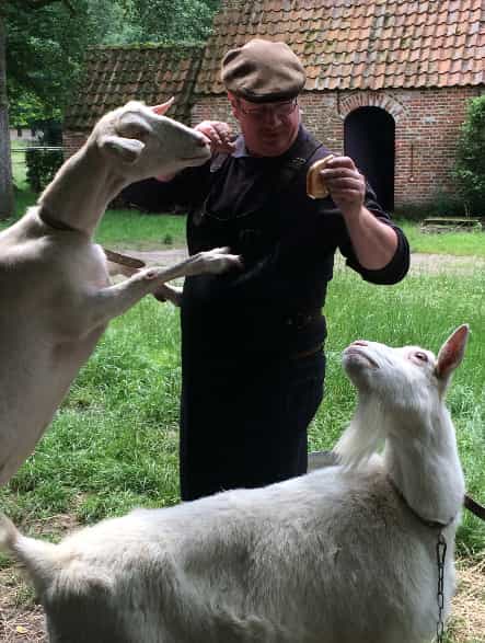 samen met de geitjes voor mijn schuur